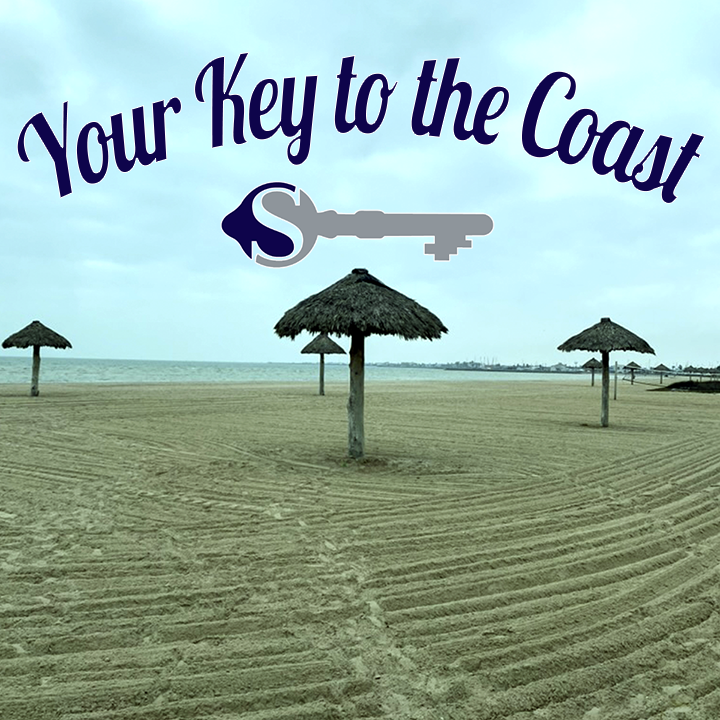 Neli Spurrell-Your Key To The Coast